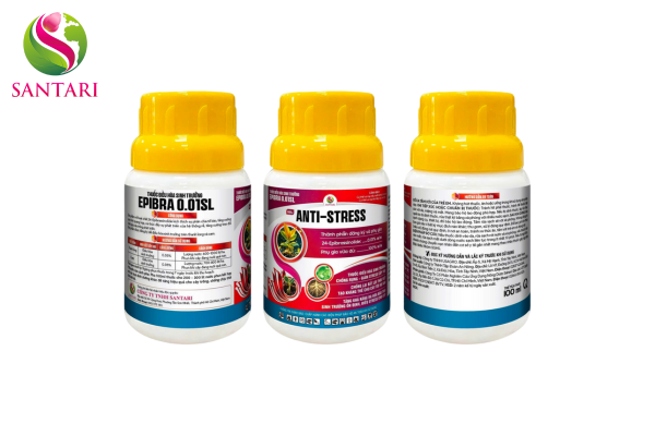 Thuốc điều hoà sinh trưởng EPIBRA 0.01SL Hiệu ANTI-STRESS