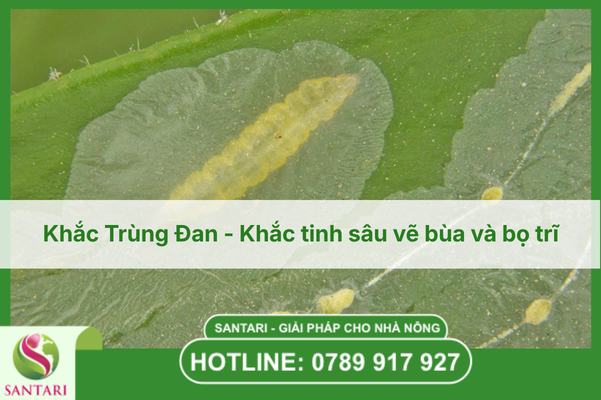 Khắc Trùng Đan - Khắc tinh sâu vẽ bùa và bọ trĩ