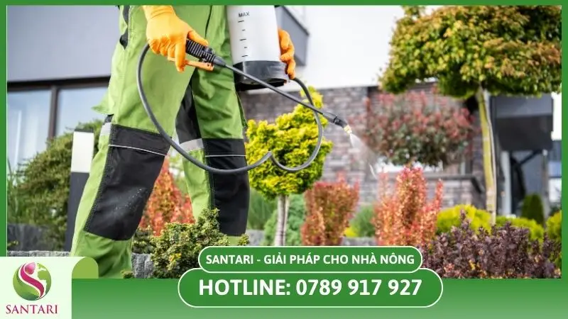 Liều lượng sử dụng thuốc trừ bệnh