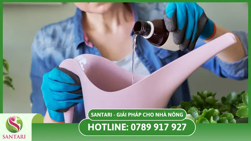 Những lưu ý khi dùng phân bón lá