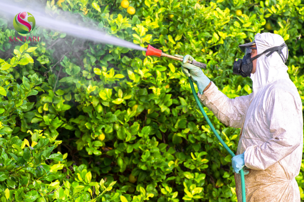 Lưu ý khi sử dụng 