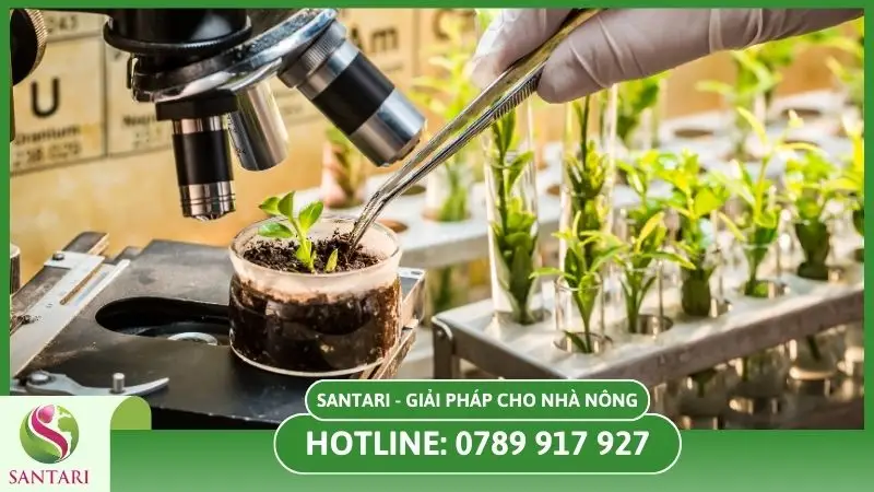 Thuốc trừ cỏ sinh học