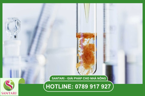 Câu hỏi thường gặp