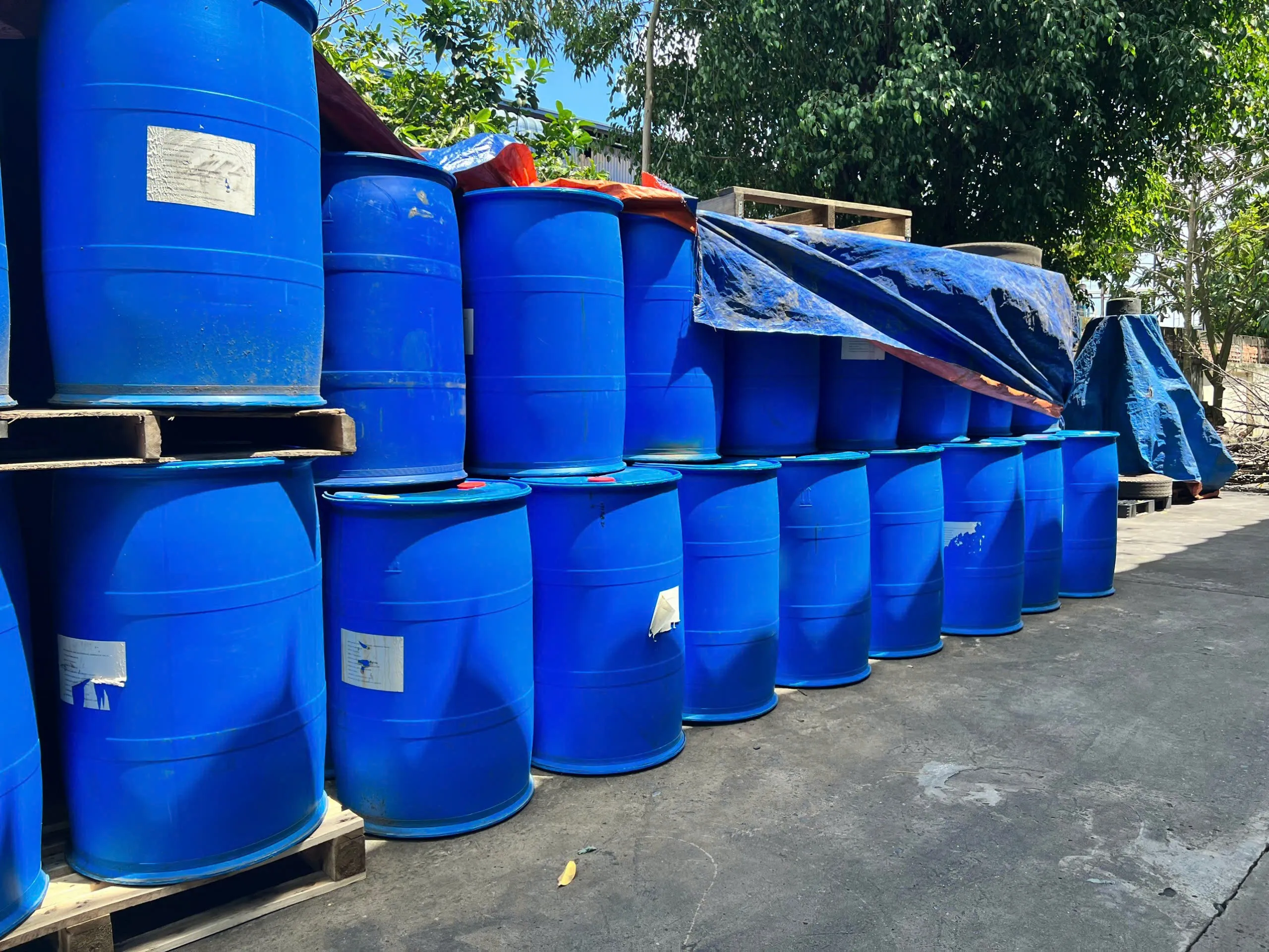 hinh anh introduce 3