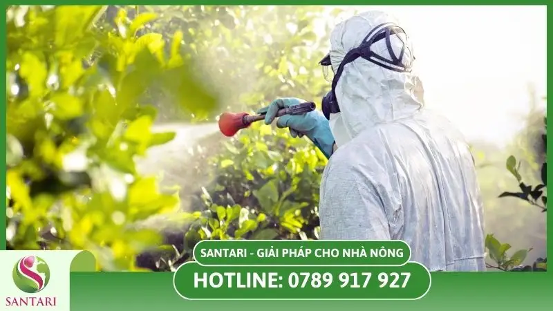 Bảo vệ bản thân khi phun thuốc