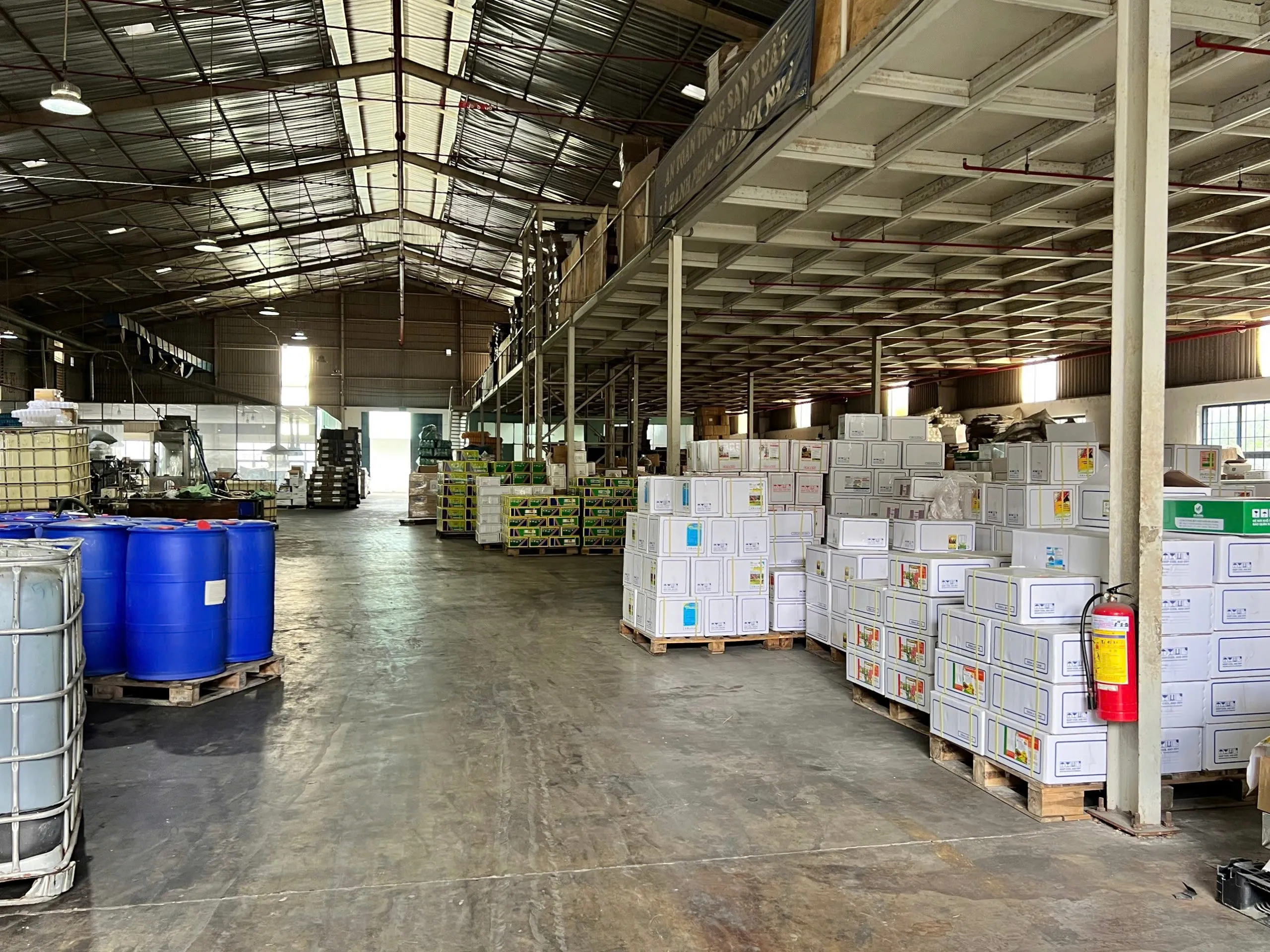 hinh anh introduce 3