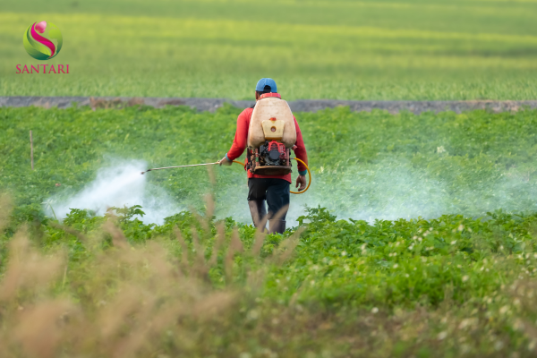 Lưu ý khi sử dụng