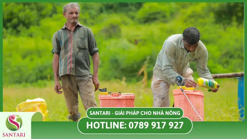 Cách sử dụng phân bón lá