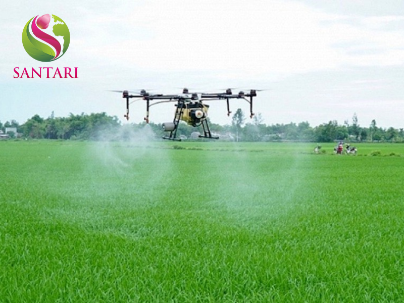 nông dân phun THUỐC TRỪ SÂU AFUDAN 20SC HIỆU KHẮC TRUNG ĐAN