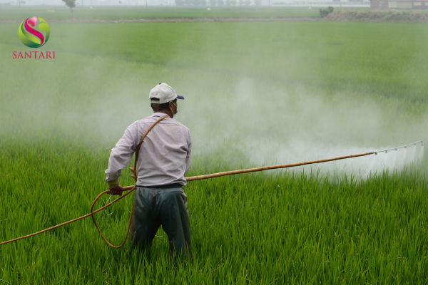 Lưu ý khi sử dụng 