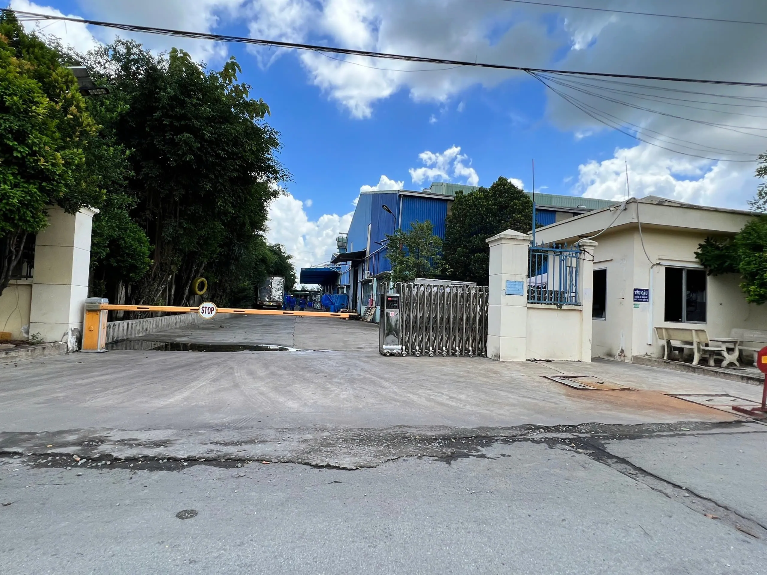 hinh anh introduce 3