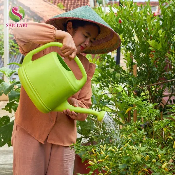 Cách dùng phân bón lá Omri Fish