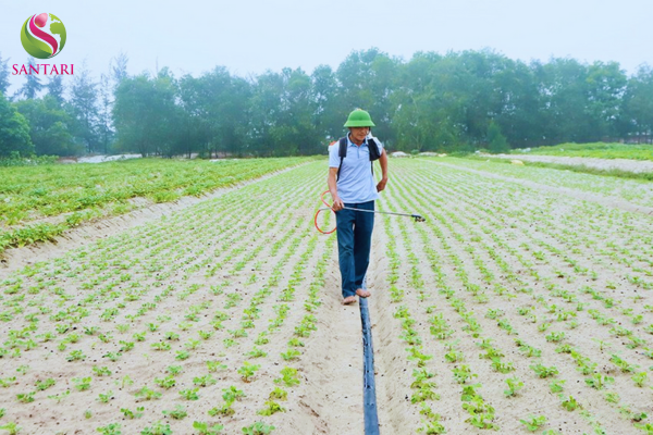 Lưu ý khi sử dụng