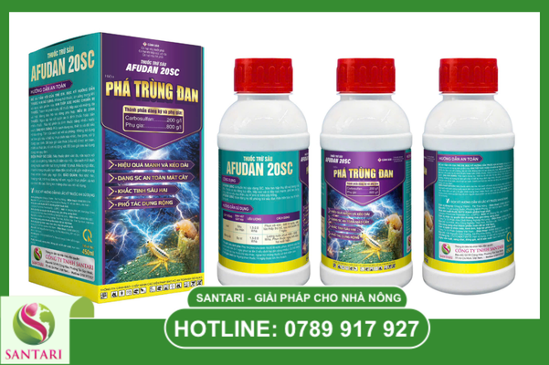 Quy trình SOP kiểm soát sâu hại mùa nắng nóng