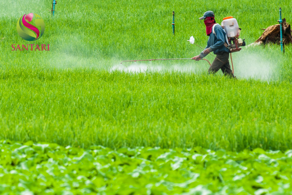 Lưu ý khi sử dụng 