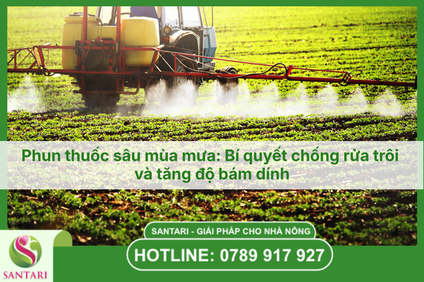 Phun thuốc sâu mùa mưa: Bí quyết chống rửa trôi và tăng độ bám dính