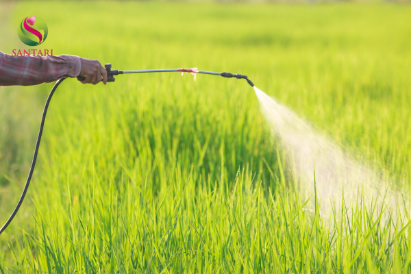 Lưu ý khi sử dụng