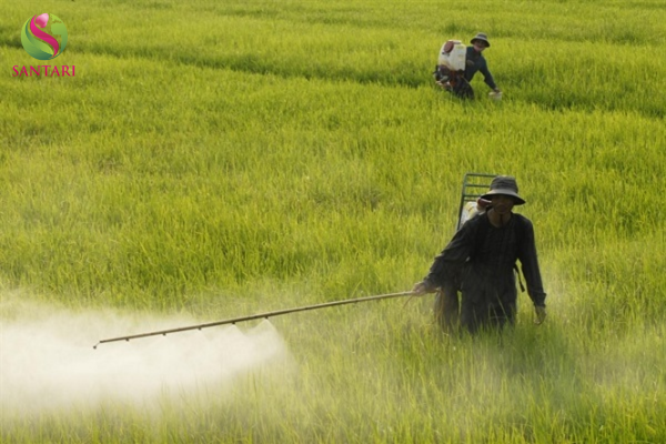 Lưu ý khi sử dụng