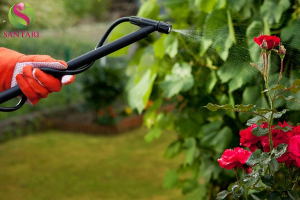 Lưu ý sử dụng Thuốc trừ sâu BP.NEWONE 500SC