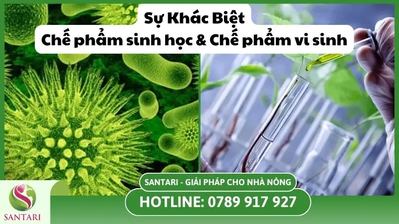 Sự khác biệt chế phẩm sinh học và chế phẩm vi sinh