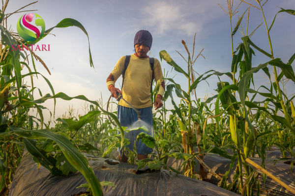 Lưu ý khi sử dụng 