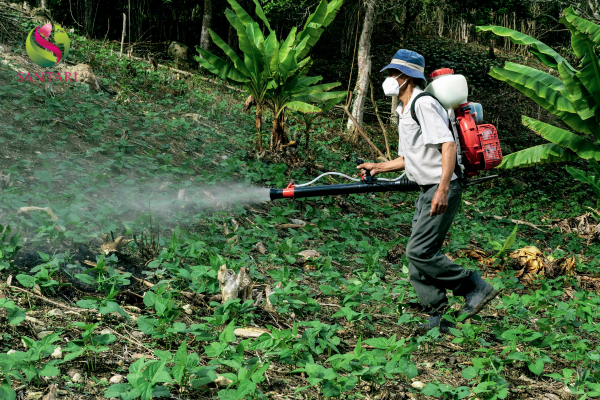 Lưu ý khi sử dụng 