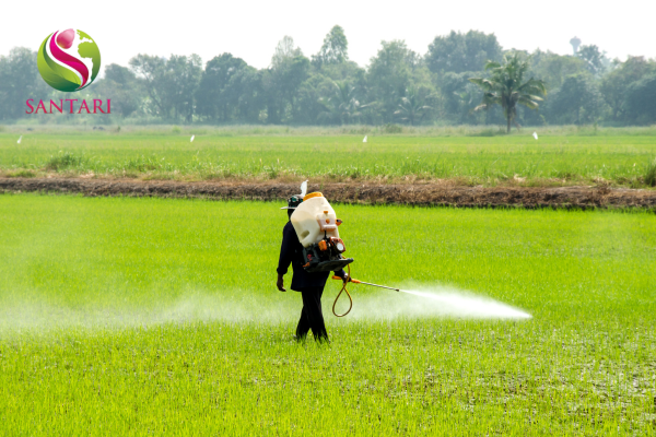 Lưu ý khi sử dụng