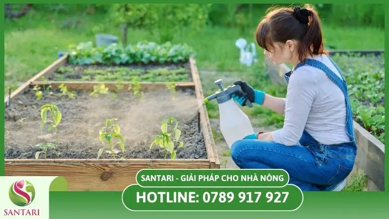 Thuốc trừ bệnh là gì