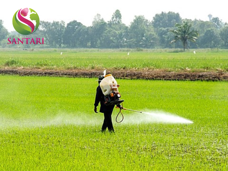 nông dân phun THUỐC TRỪ BỆNH NAXANIL 20SC HIỆU SANXANIL 200