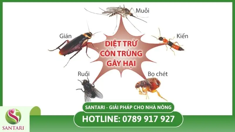 Cơ chế hoạt động của hóa chất diệt côn trùng