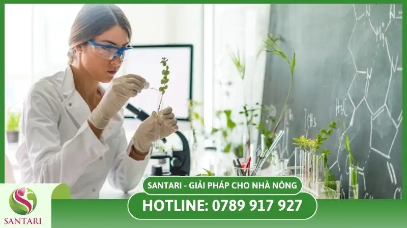 Thuốc trừ sâu rệp rầy sinh học