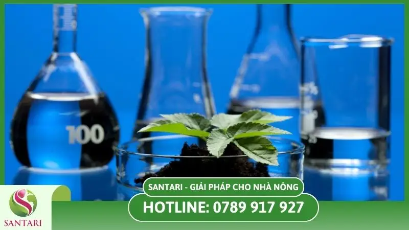 Tuân thủ đúng liều lượng qui định