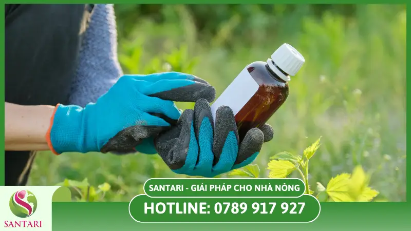 Liều lượng phân bón